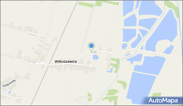 Wilkoszewice, Wilkoszewice, mapa Wilkoszewice