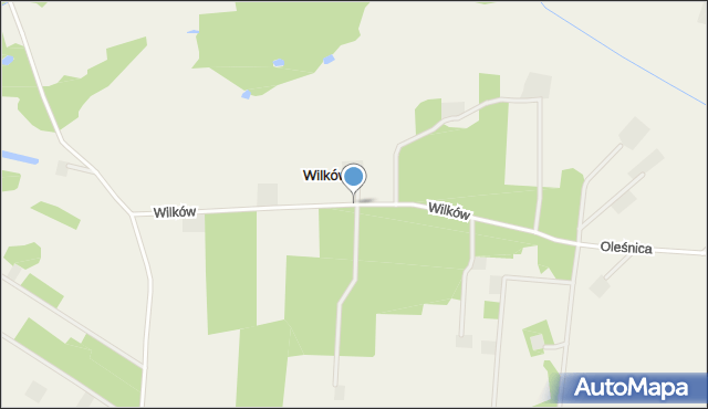 Wilków gmina Dalików, Wilków, mapa Wilków gmina Dalików