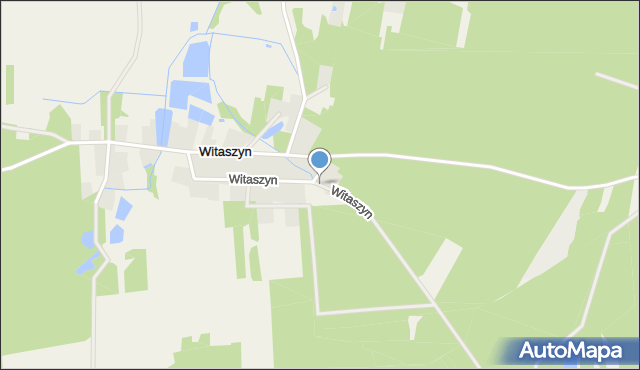 Witaszyn, Witaszyn, mapa Witaszyn