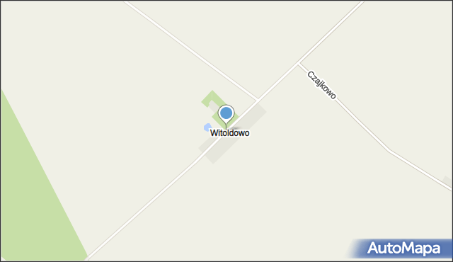 Witoldowo gmina Gostyń, Witoldowo, mapa Witoldowo gmina Gostyń