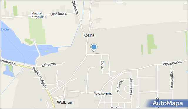 Wolbrom, Wiśniowa, mapa Wolbrom