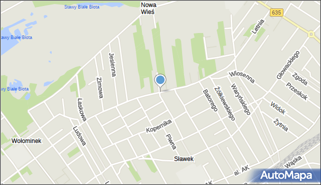 Wołomin, Wiosenna, mapa Wołomin
