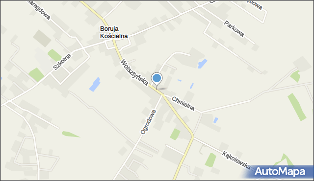 Boruja Kościelna, Wolsztyńska, mapa Boruja Kościelna