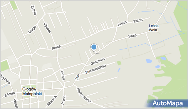 Głogów Małopolski, Wojska Polskiego, mapa Głogów Małopolski