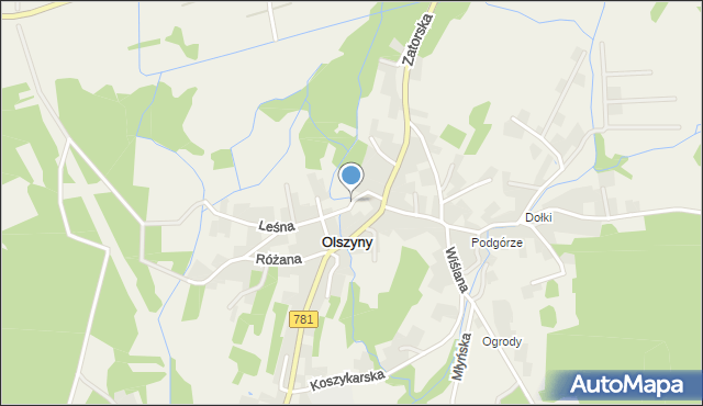 Olszyny gmina Babice, Wodna, mapa Olszyny gmina Babice