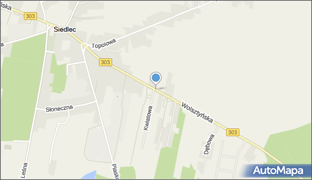 Siedlec powiat wolsztyński, Wolsztyńska, mapa Siedlec powiat wolsztyński
