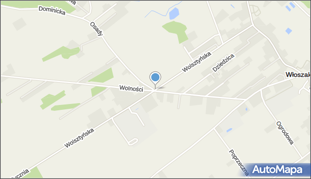Włoszakowice, Wolsztyńska, mapa Włoszakowice