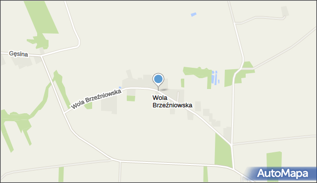 Wola Brzeźniowska, Wola Brzeźniowska, mapa Wola Brzeźniowska
