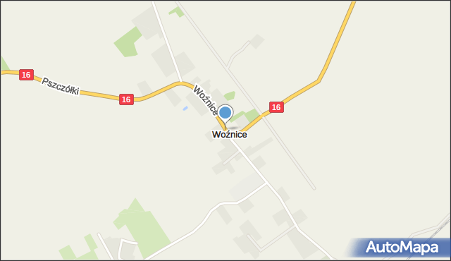 Woźnice, Woźnice, mapa Woźnice