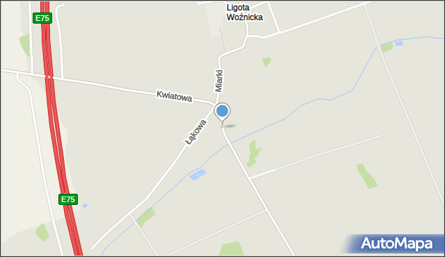 Woźniki powiat lubliniecki, Woźnicka, mapa Woźniki powiat lubliniecki