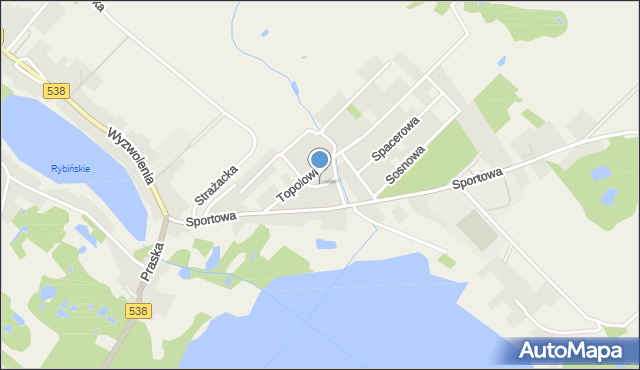 Rybno powiat działdowski, Wrzosowa, mapa Rybno powiat działdowski