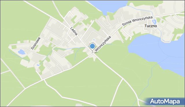 Tuczno gmina Pobiedziska, Wronczyńska, mapa Tuczno gmina Pobiedziska