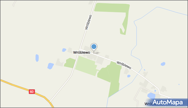 Wróblewo gmina Gołymin-Ośrodek, Wróblewo, mapa Wróblewo gmina Gołymin-Ośrodek