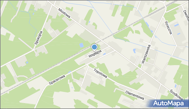 Bartniki gmina Puszcza Mariańska, Wspólna, mapa Bartniki gmina Puszcza Mariańska