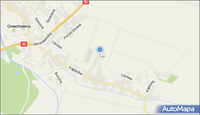 Gniechowice, Wspólna, mapa Gniechowice