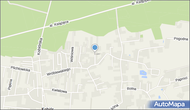 Kobiór, Wspólna, mapa Kobiór