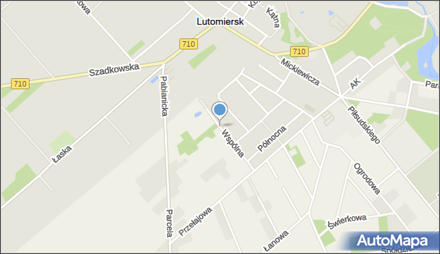 Lutomiersk, Wspólna, mapa Lutomiersk