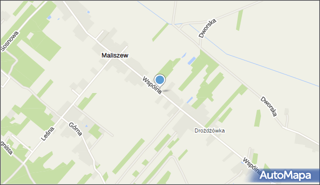 Maliszew gmina Mińsk Mazowiecki, Wspólna, mapa Maliszew gmina Mińsk Mazowiecki