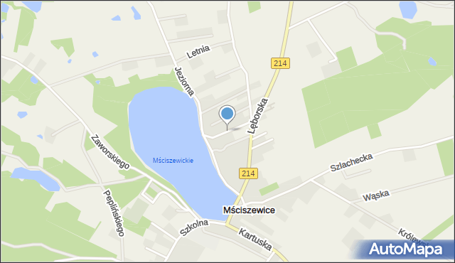 Mściszewice, Wspólna, mapa Mściszewice