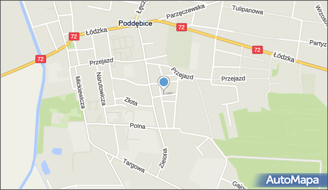 Poddębice, Wspólna, mapa Poddębice