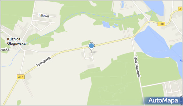 Radzyń gmina Sława, Wspólna, mapa Radzyń gmina Sława