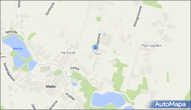 Witkowice gmina Kęty, Wspólna, mapa Witkowice gmina Kęty