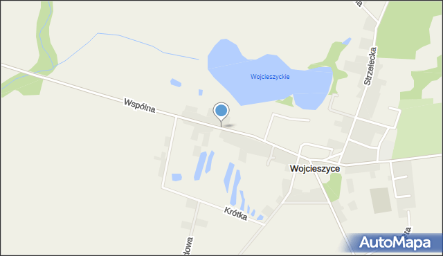 Wojcieszyce gmina Kłodawa, Wspólna, mapa Wojcieszyce gmina Kłodawa