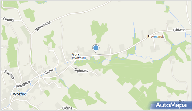 Woźniki gmina Tomice, Wspólna, mapa Woźniki gmina Tomice