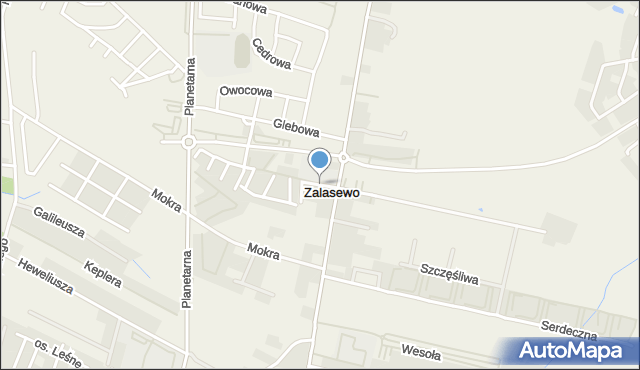 Zalasewo, Wspólna, mapa Zalasewo