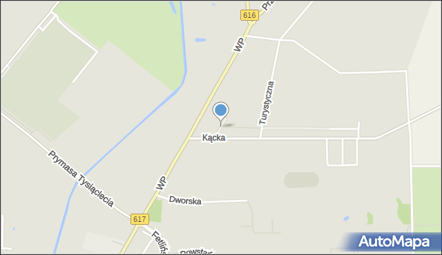 Ciechanów, Wybiegowa, mapa Ciechanów