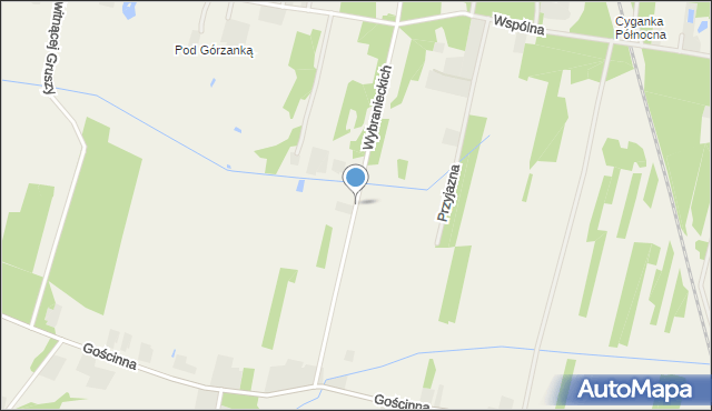 Cyganka gmina Dębe Wielkie, Wybranieckich, mapa Cyganka gmina Dębe Wielkie