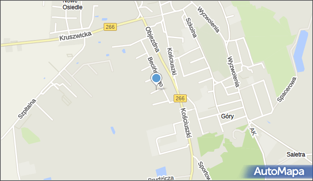 Radziejów, Wyspiańskiego Stanisława, mapa Radziejów