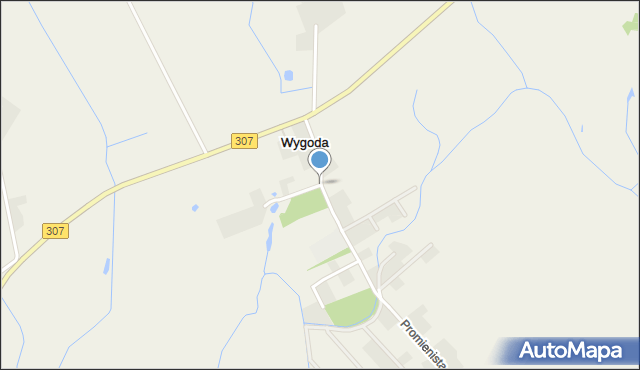 Wygoda gmina Buk, Wygoda, mapa Wygoda gmina Buk