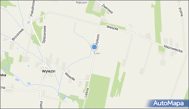 Wylezin gmina Tarczyn, Wylezin, mapa Wylezin gmina Tarczyn