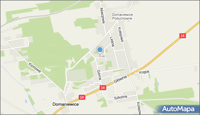 Domaniewice powiat łowicki, Zagajnikowa, mapa Domaniewice powiat łowicki