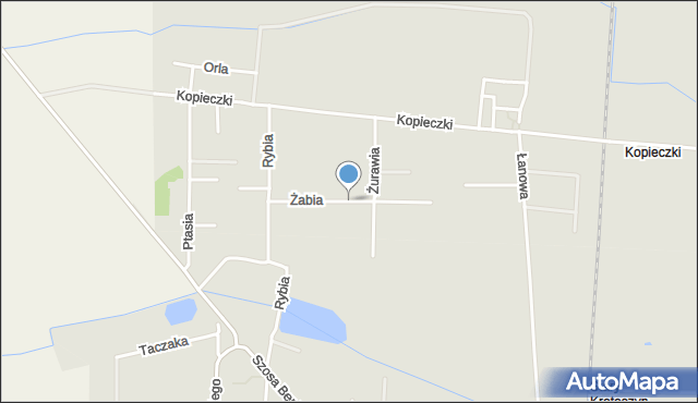 Krotoszyn, Żabia, mapa Krotoszyna