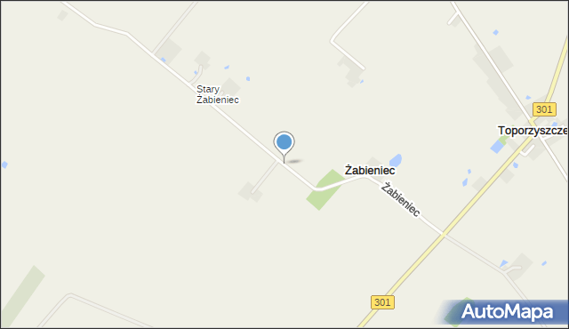 Żabieniec gmina Bądkowo, Żabieniec, mapa Żabieniec gmina Bądkowo