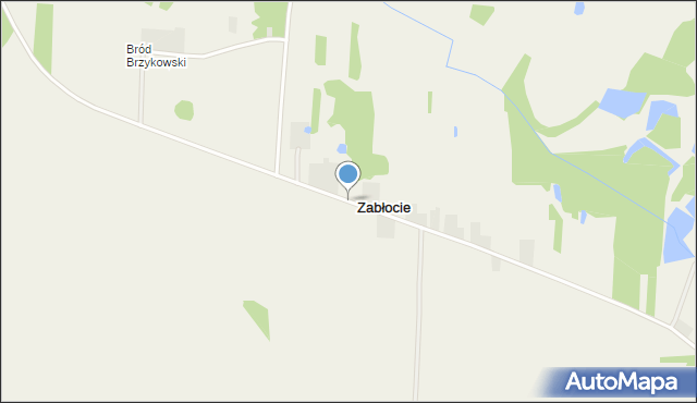 Zabłocie gmina Widawa, Zabłocie, mapa Zabłocie gmina Widawa