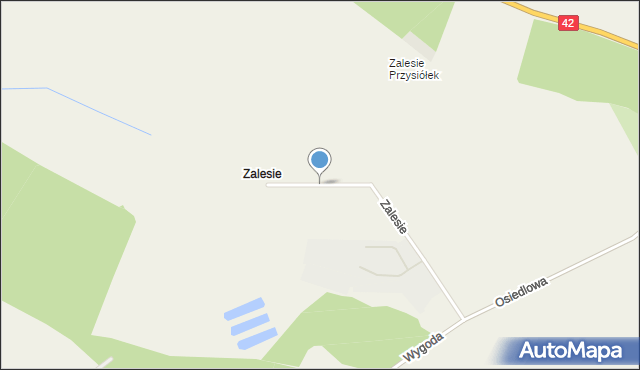 Zalesie gmina Domaszowice, Zalesie, mapa Zalesie gmina Domaszowice