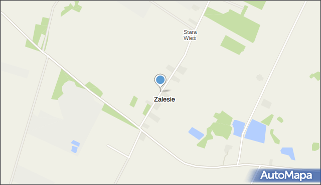 Zalesie gmina Skierniewice, Zalesie, mapa Zalesie gmina Skierniewice