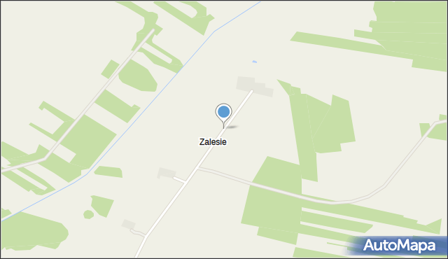 Zalesie gmina Strzegowo, Zalesie, mapa Zalesie gmina Strzegowo