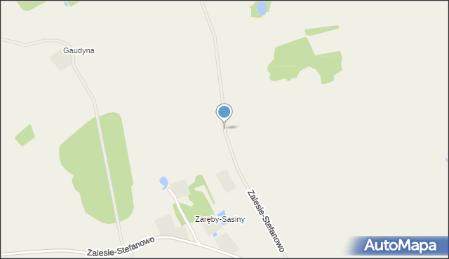 Zalesie-Stefanowo, Zalesie-Stefanowo, mapa Zalesie-Stefanowo