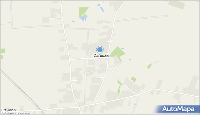 Zarudzie gmina Nielisz, Zarudzie, mapa Zarudzie gmina Nielisz