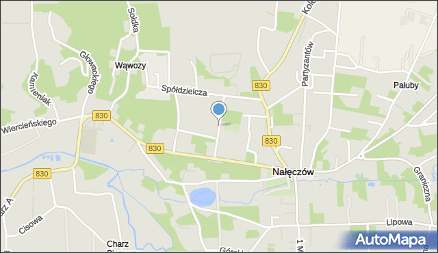 Nałęczów powiat puławski, Żeromskiego Stefana, mapa Nałęczów powiat puławski