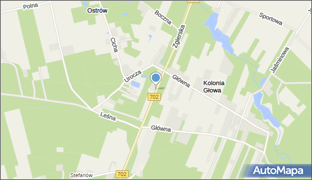 Kolonia Głowa, Zgierska, mapa Kolonia Głowa