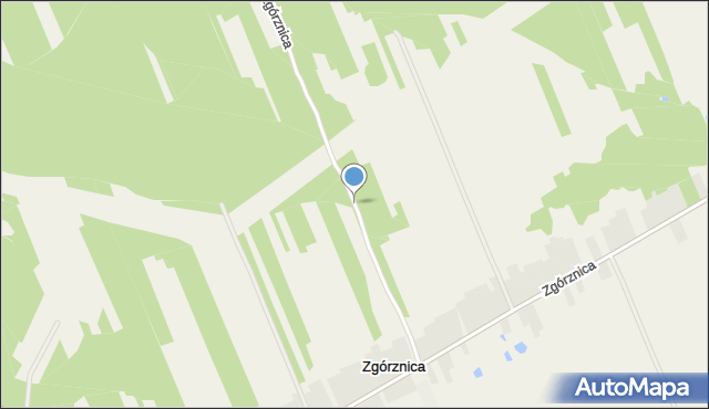 Zgórznica, Zgórznica, mapa Zgórznica