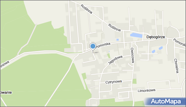 Dębogórze, Zielna, mapa Dębogórze