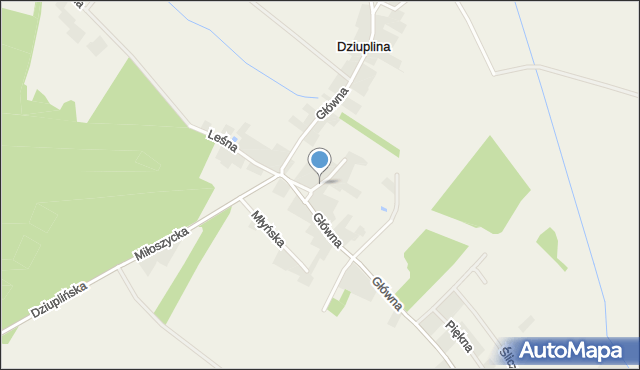 Dziuplina, Zielona, mapa Dziuplina