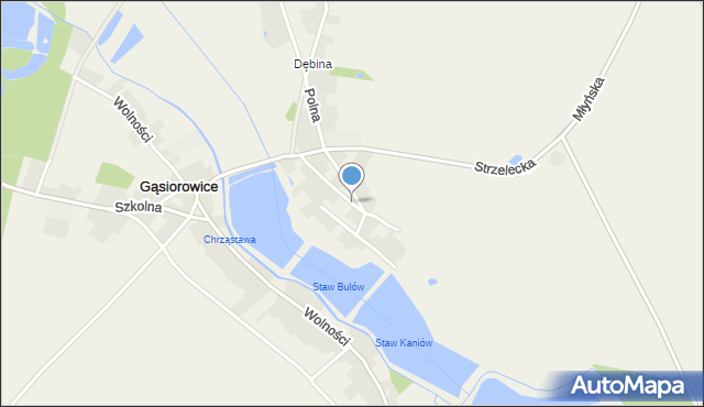 Gąsiorowice, Zielona, mapa Gąsiorowice