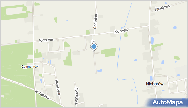 Nieborów powiat łowicki, Zielna, mapa Nieborów powiat łowicki